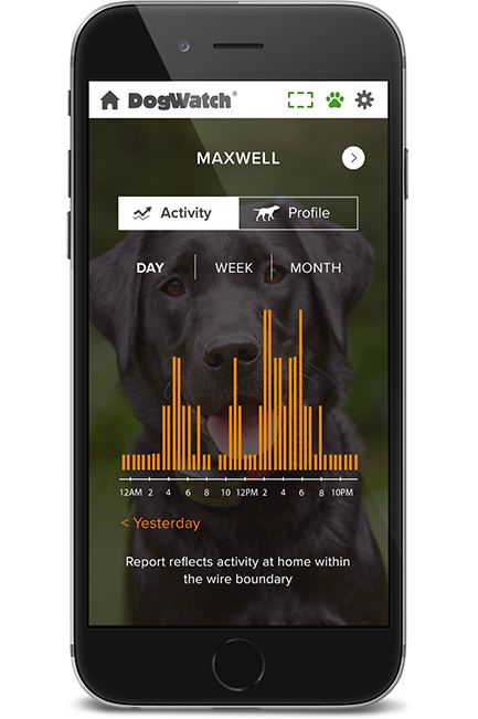 DogWatch of Cape Cod, Marstons Mills, Massachusetts | SmartFence WebApp Image