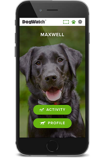 DogWatch of Cape Cod, Marstons Mills, Massachusetts | SmartFence WebApp Image