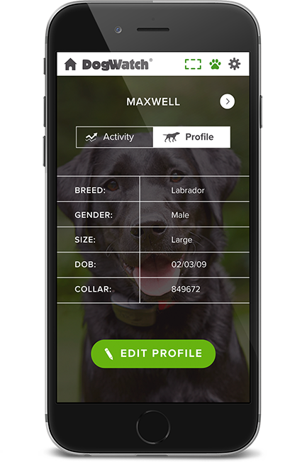 DogWatch of Cape Cod, Marstons Mills, Massachusetts | SmartFence WebApp Image