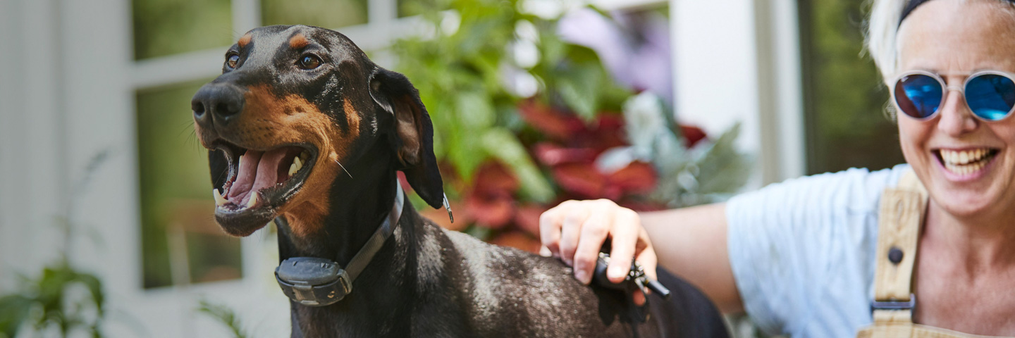 DogWatch of Cape Cod, Marstons Mills, Massachusetts | Remote Dog Training Collars Slider Image