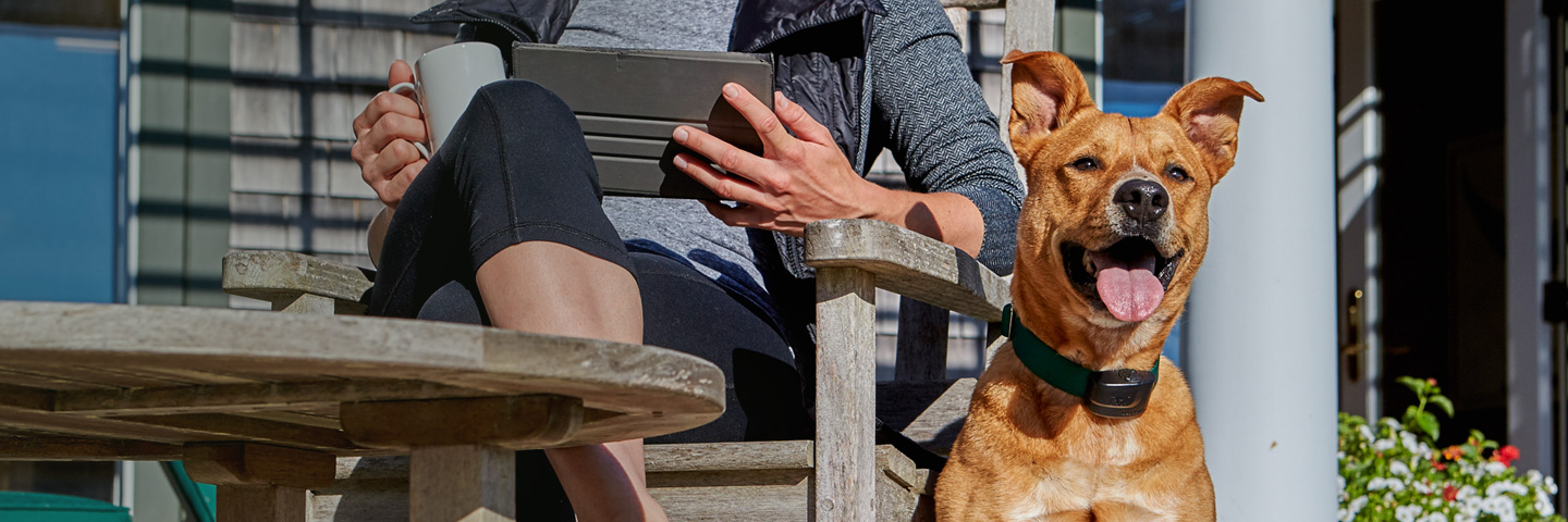 DogWatch of Cape Cod, West Yarmouth, MA | ProFence Slider Image